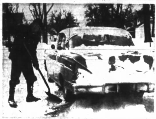 Snow Maroons Springfield